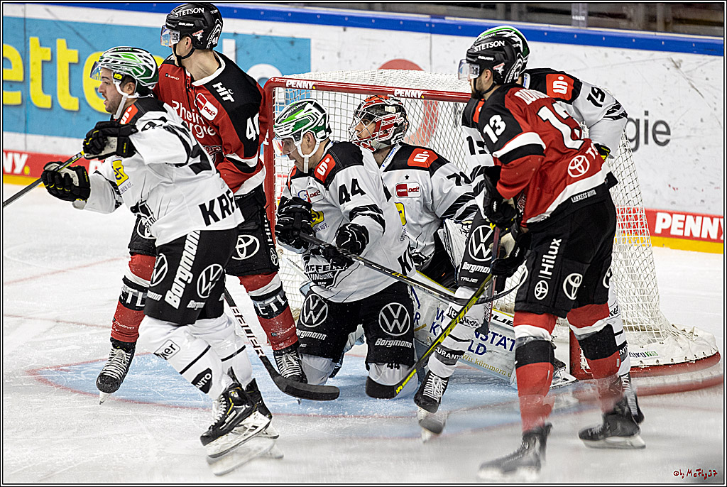 PENNY DEL;  Koelner Haie - Krefeld Pinguine; Koeln, 31.10.2021